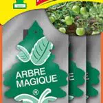 Arbre Magique Profumatore Auto Fragranza Mela Verde Rinfrescante e Duraturo