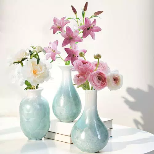 Artisoul® Vasi in Ceramica Decorativi per Interni, Design Minimalista