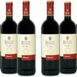 BotteBuona Vino Rosso Merlot Italiano dal Gusto Raffinato e Profumo Fruttato