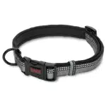 Halti Collare Comfort - Cinghia Regolabile Imbottita in Neoprene e Tessuto 3M