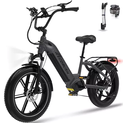 Ecorush R6 Bici Elettrica 48V 15,6Ah con Telaio Robust, 20" Pneumatici Grassi, 7 Velocità