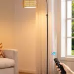 EDISHINE Lampada da Terra ad Arco Dimmerabile con Telecomando e Lampadina LED E27
