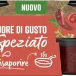 Knorr Cuore di Gusto Speziato, Vegano e Senza Glutine, Pronto da Sciogliere