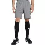 PUMA teamGOAL Shorts - Pantaloncini in Maglia Unisex per Adulti