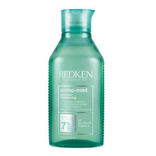 Redken Shampoo Amino Mint per Capelli Grassi e Cuoio Capelluto Irritato