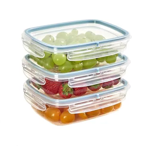 Snips Contenitori per Alimenti Trasparenti 0,6L con Coperchio Salva Freschezza