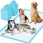 Tappetini Assorbenti per Animali Domestici, Design a 6 Strati a Prova di Perdite