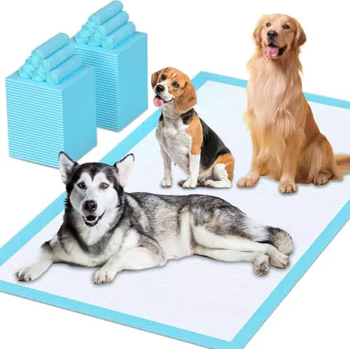 Tappetini Assorbenti per Animali Domestici, Design a 6 Strati a Prova di Perdite