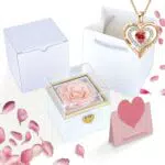 Auvstar Rosa Eterna Stabilizzata con Collana - Regalo San Valentino per Lei