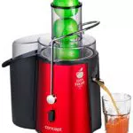 Concept Elettrodomestici LO7028 Centrifuga Fresh 1000 Watts Inox
