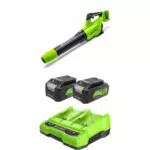 Greenworks 48V Soffiatore Foglie Assiale a Batteria con Motore Brushless