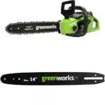 Greenworks Motosega a Batteria con Motore Brushless