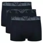 Emporio Armani Bold Monogram Trunk Bermuda