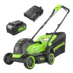 Greenworks MO24L411-01 Tosaerba Senza Fili 24V con Batteria e Caricabatterie
