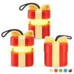 EverBrite Lanterna LED Natalizia con 5 Modalità, Batteria Inclusa per Interni ed Esterni