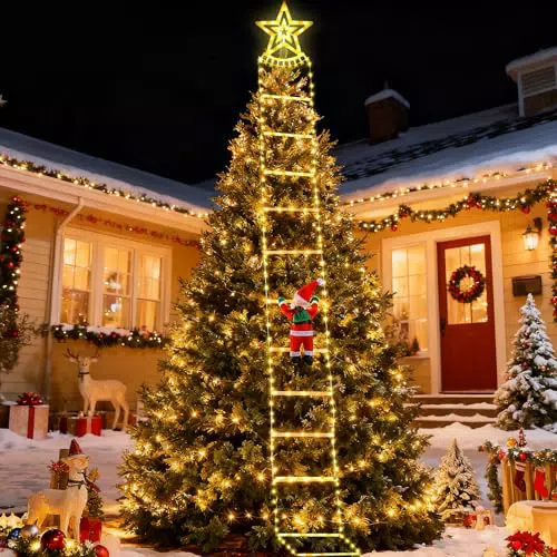Fohil Luci Natalizie LED da Esterno con Stella e Babbo Natale per Casa e Giardino