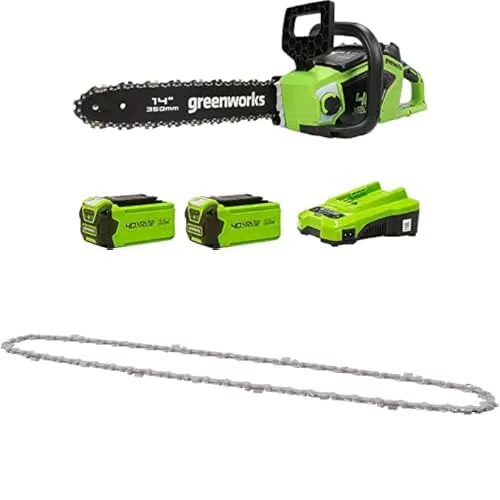 Greenworks Motosega a Batteria con Motore Brushless