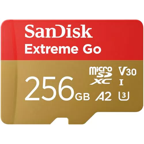 SanDisk Extreme Go microSDXC con adattatore SD, UHS-I, V30, 4K, Rescue PRO Deluxe
