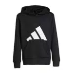 Adidas Felpa Unisex Bambini Essentials Big Logo Hoodie