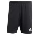 Adidas Entrada 22 Shorts Uomo