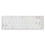 DrunkDeer G65 Tastiera Meccanica Gaming 65% Interruttori Magnetici RGB Wired