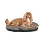 Ferplast Cuccia Relax Cuscino per Cani e Gatti Lavabile in Cotone Imbottito