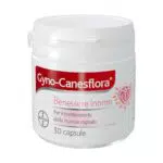 Gyno-Canesflora Integratore Donna con Lactobacilli e Vitamina B2 per Benessere Intimo