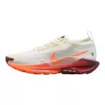 Nike Pegasus Trail 5 Gore-Tex Scarpe Running Trail Uomo Impermeabili