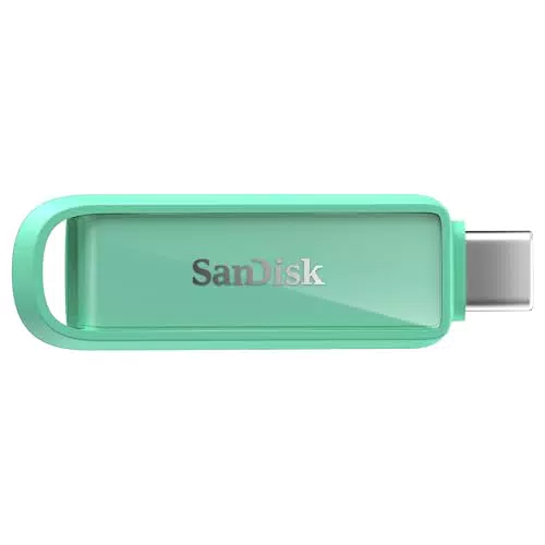 SanDisk Unità USB Type-C 1TB per Smartphone, Tablet e PC con Backup Automatico