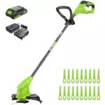 Greenworks 24V Tagliabordi a Batteria per Giardino, Taglio 25 cm con Batteria e Caricabatterie