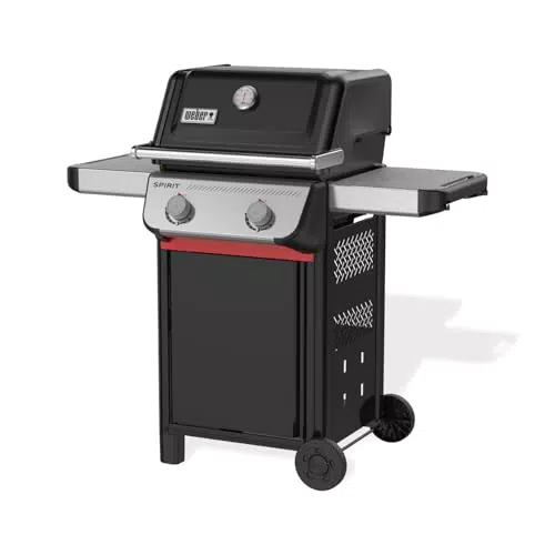 Weber Barbecue a Gas Spirit E-210 con 2 Bruciatori e Accensione Snap-Jet