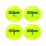 Wilson Champ Extra Duty Palline da Tennis per Tutte le Superfici
