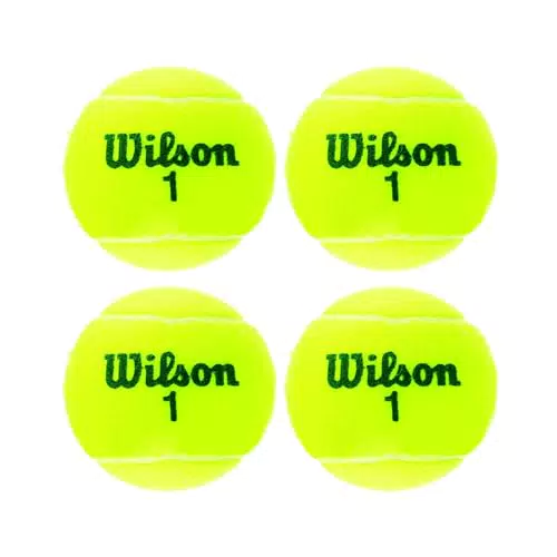 Wilson Champ Extra Duty Palline da Tennis per Tutte le Superfici