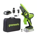 Greenworks 24V Mini Motosega a Batteria per Potatura Autolubrificante con Caricatore