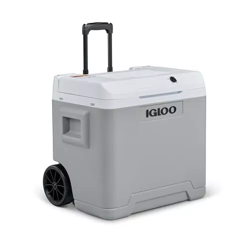 Igloo IE42 Frigo Elettrico 42L Compatto 12V/230V per Auto, Campeggio e Viaggi