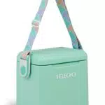 IGLOO Tag-Along Too Borsa Frigo Portatile 10L per Campeggio,