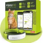 Kippy CAT Collare GPS per Gatti con Tracker Attività, Salute e Sistema Antistrozzo