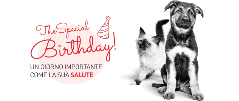 VINCI 24 TRAVEL KIT ROYAL CANIN E UN CALENDARIO!