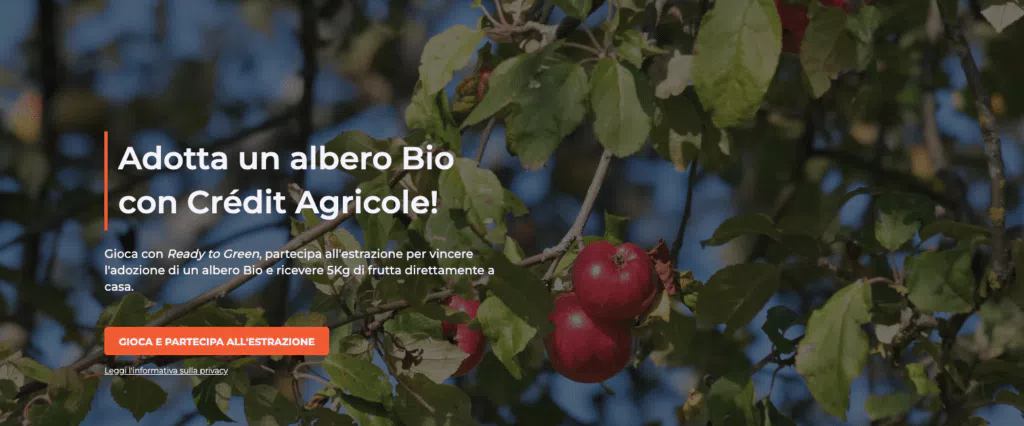 immagine dettaglio concorso