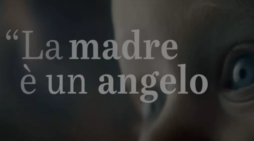 immagine dettaglio concorso
