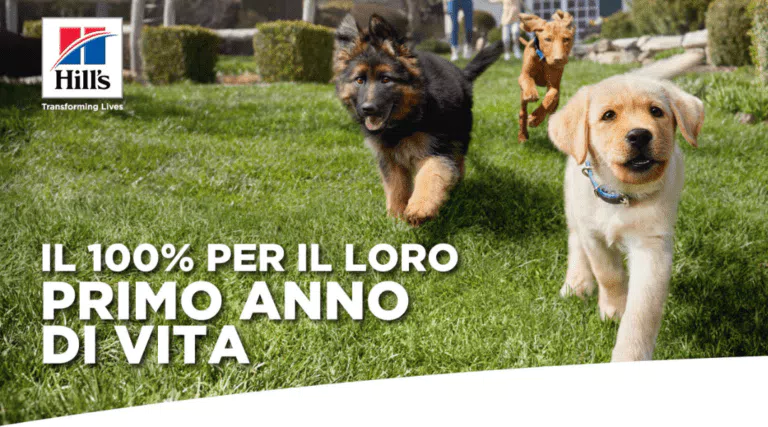 Buono sconto Hill’s Pet: scaricalo gratis (cane o gatto)