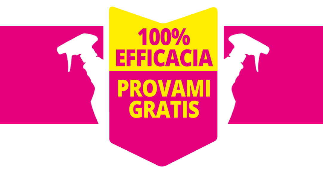 Provami Gratis Ajax: ricevi il 100% di rimborso