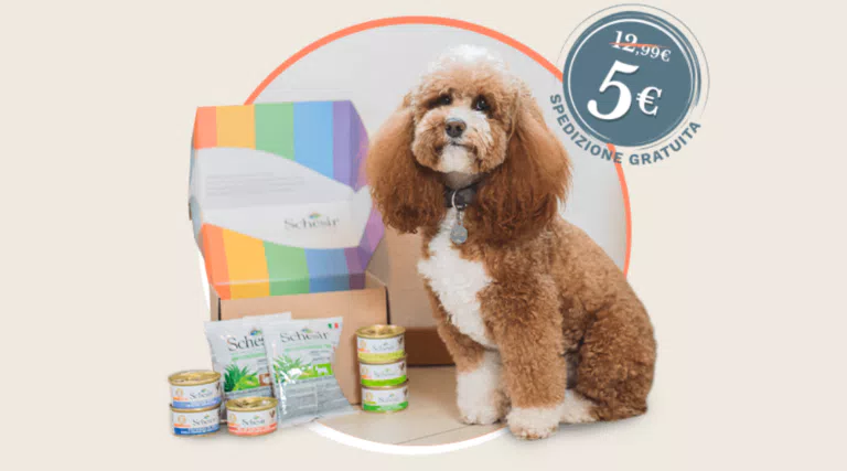 Prova Schesir per il tuo cane: tante ricette, diverse e sfiziose, in un irresistibile box degustazione.