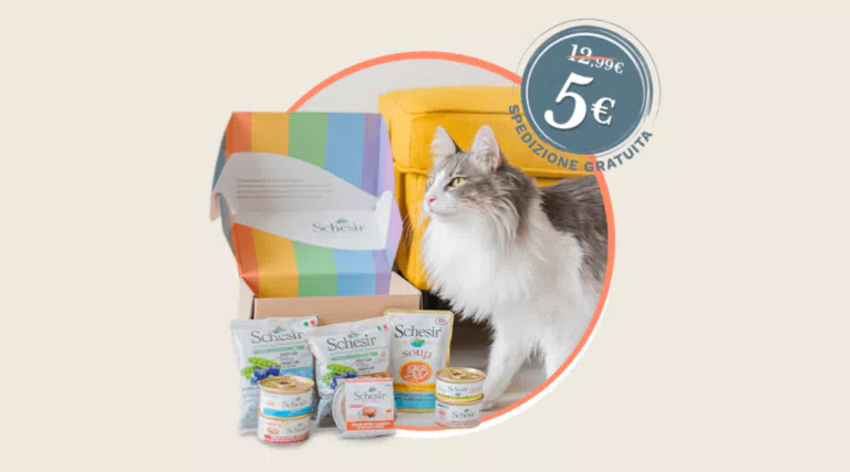Prova Schesir Tante ricette per il tuo gatto, diverse e sfiziose, in un irresistibile box degustazione.