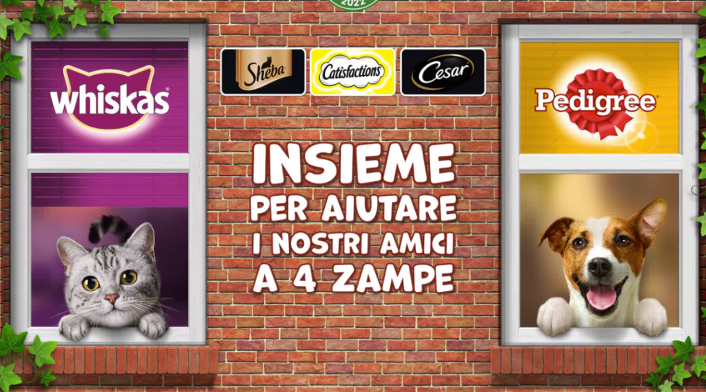 immagine dettaglio concorso
