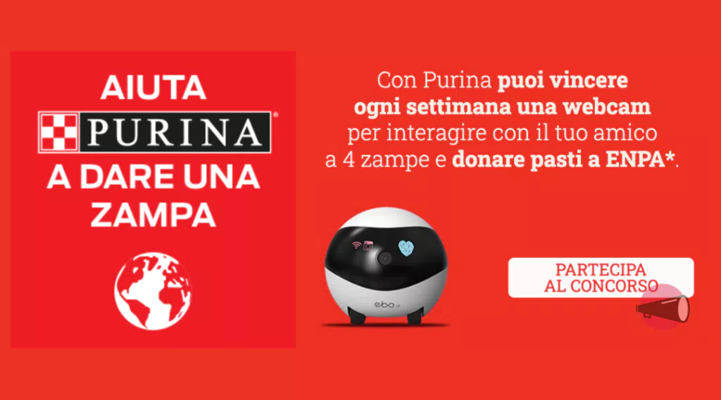 immagine dettaglio concorso