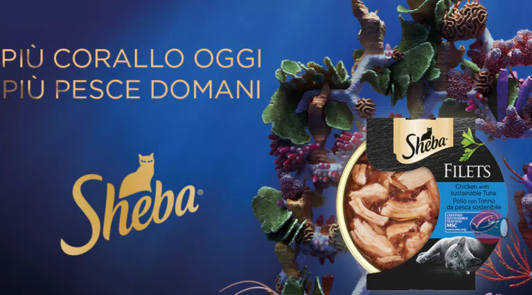 Diventa tester Sheba Filets con The Insiders