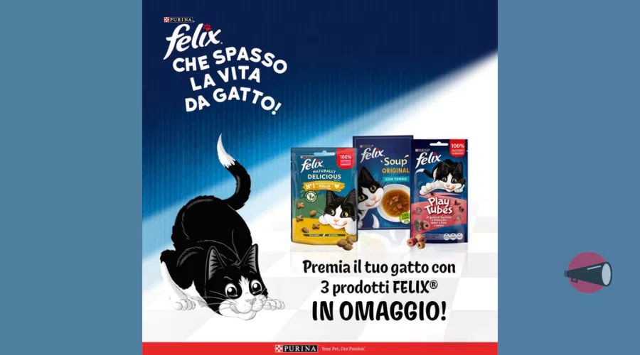 immagine dettaglio concorso