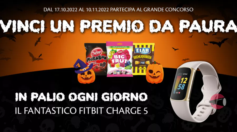 immagine dettaglio concorso