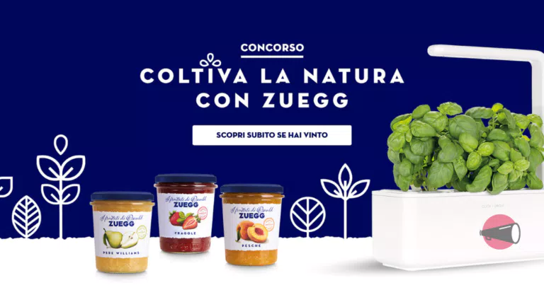 Concorso Zuegg 